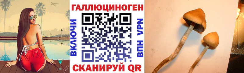 Галлюциногенные грибы мицелий  Байкальск 